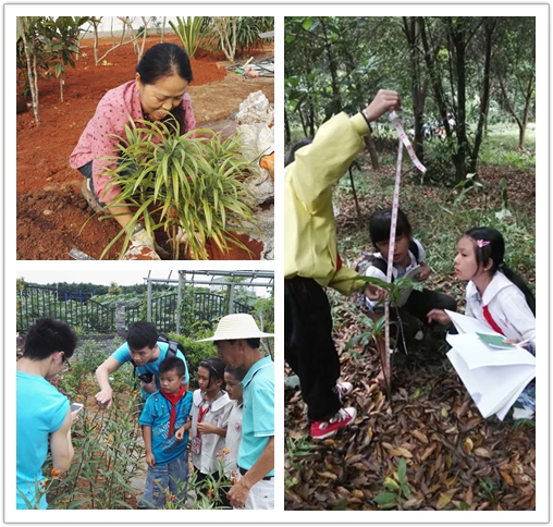 俱乐部成员栽种回归植物_副本.jpg