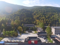 山西省五台山树木园 山西省五台山树木园