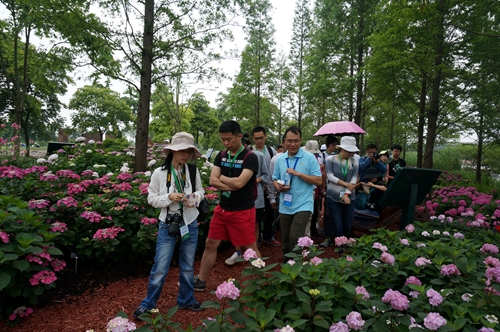 圆我们的植物梦 ——中国植物园联盟2017年植物分类与鉴定培训班在沪开班