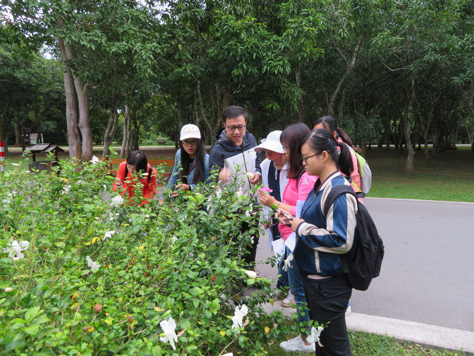 图2热带植物识别_副本.jpg