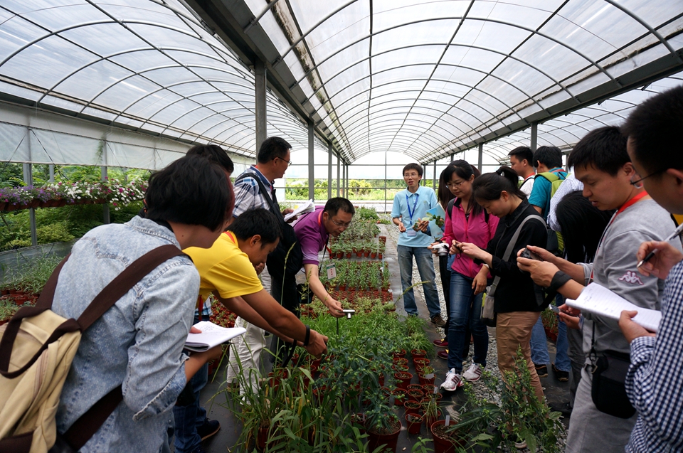 2015年植物分类与鉴定培训班