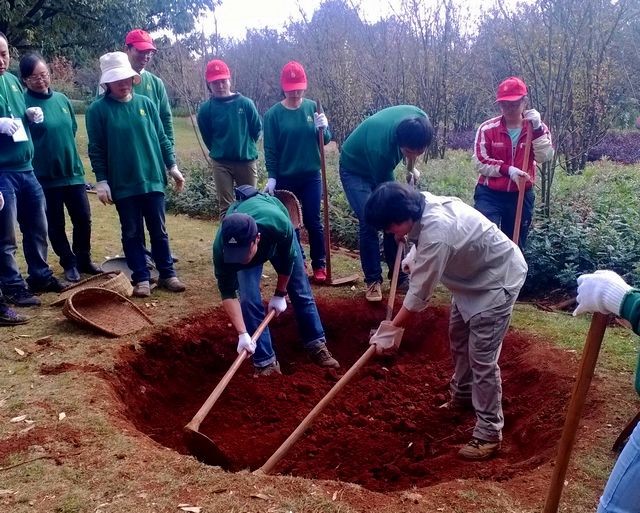 Practice of plant transplantation.jpg