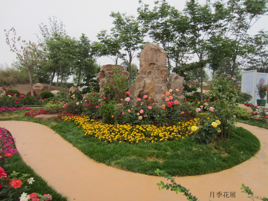 IMG_0477_副本_副本.jpg