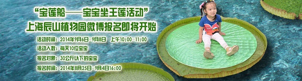 df44cf8a-6699-4ee7-834c-fb04dc10fe3a.jpg