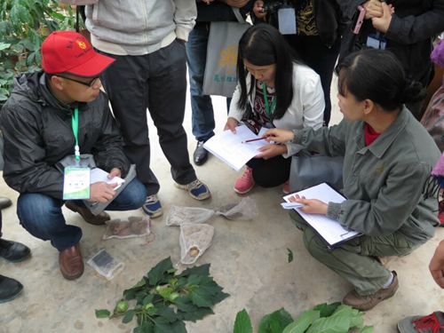 学习植物引种登记.jpg