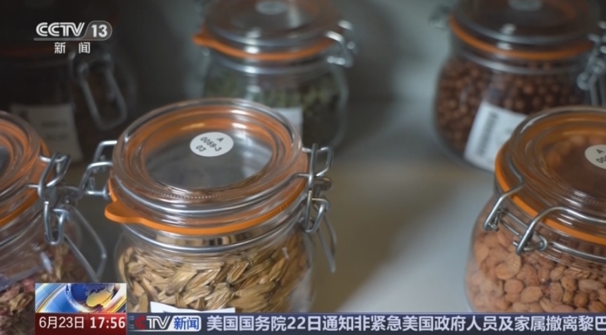 云南 种质资源库为濒危物种保护建起牢固屏障