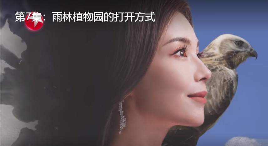 上海广播电视台:(《一路前行2》第7集:雨林植物园的打开方式