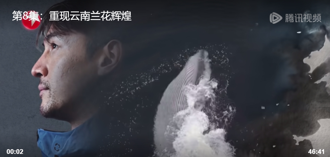 上海广播电视台:《一路前行2》第8集:重现云南兰花辉煌