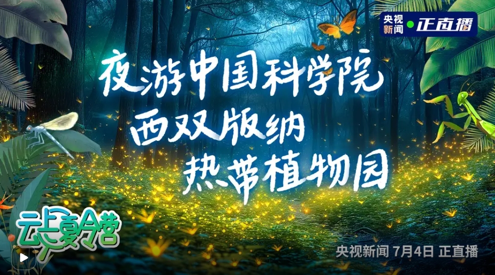 云上夏令营｜夜游中国科学院西双版纳热带植物园