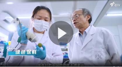 ‘‘’荔”所能及 全球“荔”量