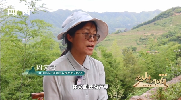 远山的回响丨一粒米的密码：谢坪村梯田的“硒谷”奇迹