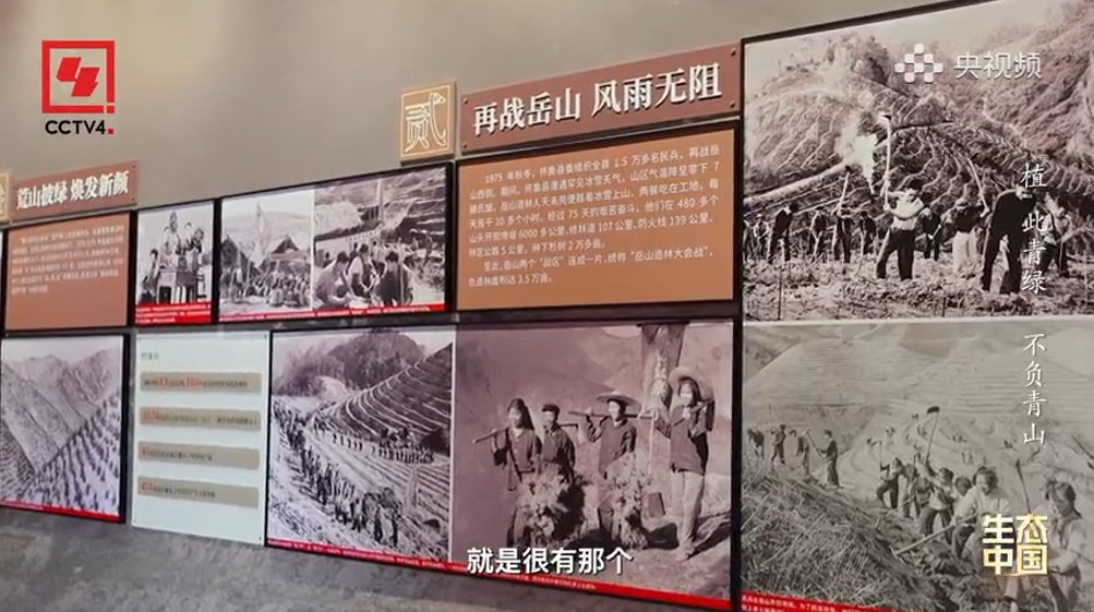 【央视频】《生态中国》第3集:植此青绿 不负青山