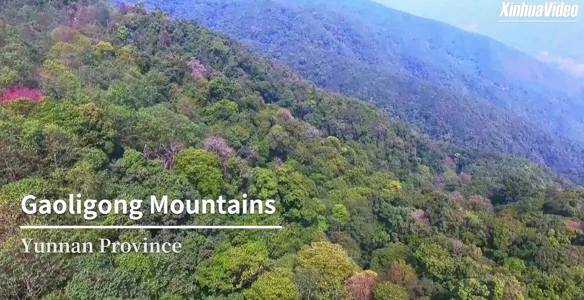 Safeguarding biodiversity wonderland in southwest 