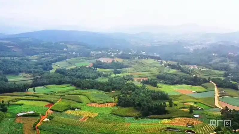 【央广网】“智”绘新丰景｜从实验室到田间 高原农业创