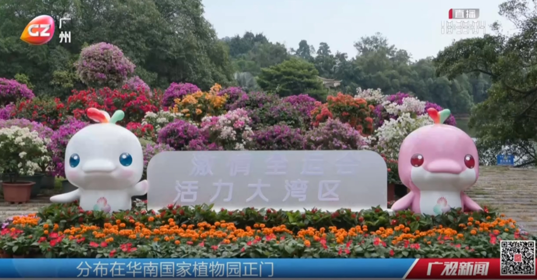 名园名花展三角梅“唱主角” 600种亮相