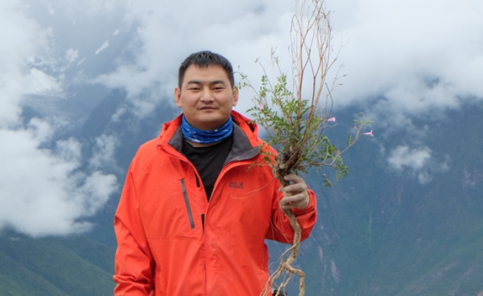 星耀武：探索未知，解读植物演化密码