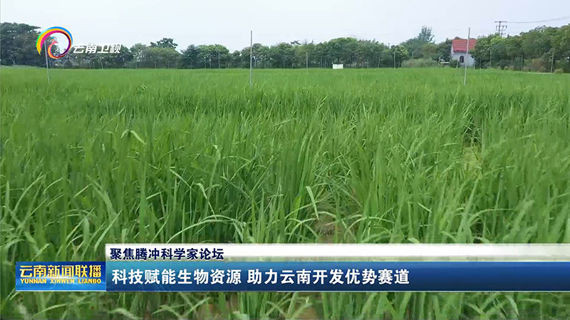 【云南新闻联播】聚焦腾冲科学家论坛 科技赋能生物资
