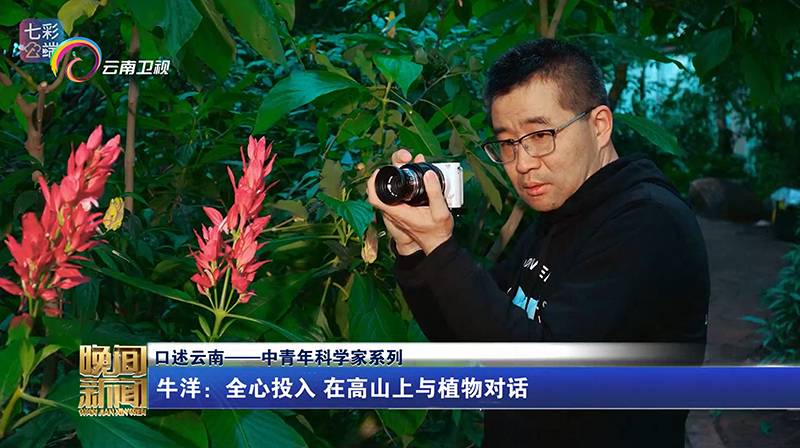 【云南晚间新闻】口述云南一一中青年科学家系列 牛洋：