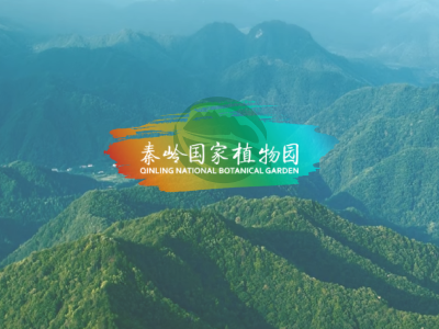 守护秦岭“活化石” 科研助力生物多样性保护