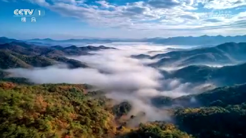 【CCTV-1】自然中国之探秘哀牢山