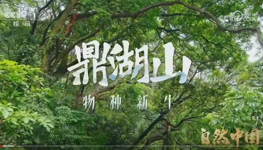 【CCTV1 综合】《自然中国》鼎湖山——物种新生