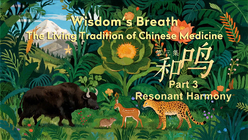 【CGTN】Wisdom’s Breath: The Living Tradition of 