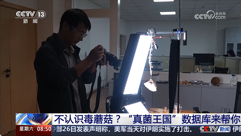 【朝闻天下】不认识毒蘑菇？“真菌王国”数据库来帮你