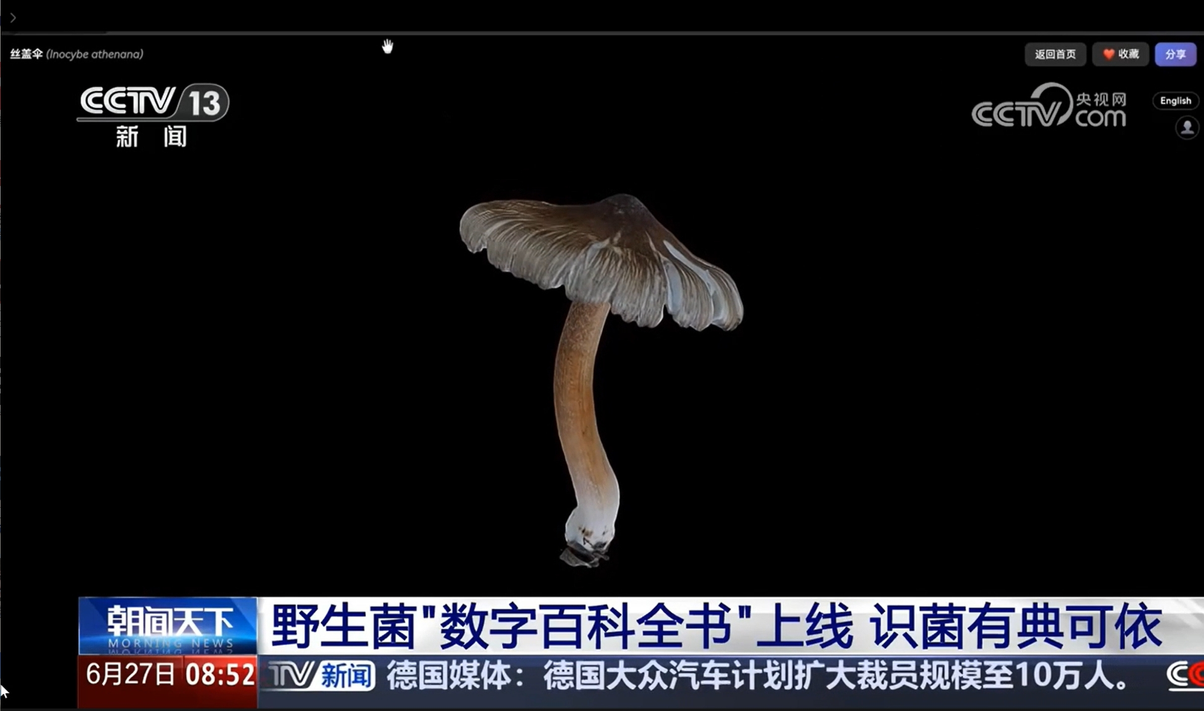 【朝闻天下】野生菌“数字百科全书”上线 识菌有典可依
