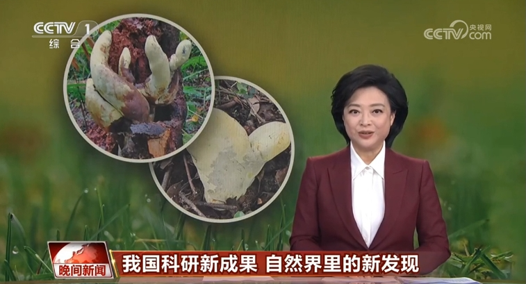 【央视晚间新闻】我国科研新成果 自然界里的新发现