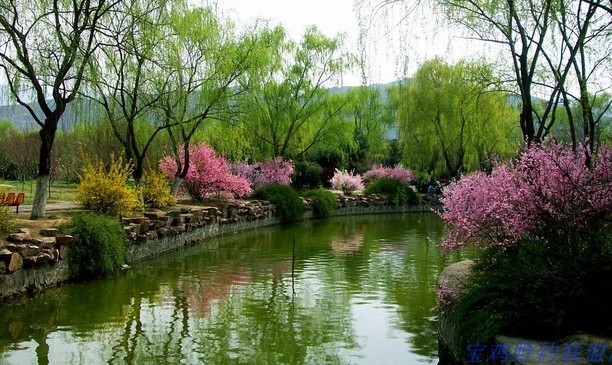 宝鸡植物园