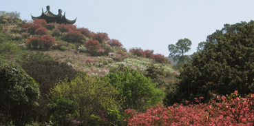 嘉道理农场暨植物园