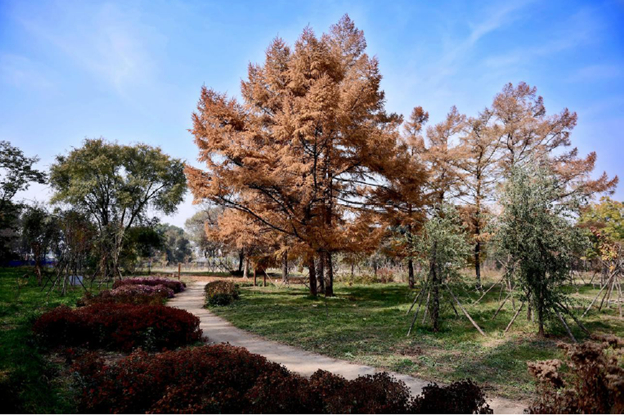 沈阳农业大学植物园