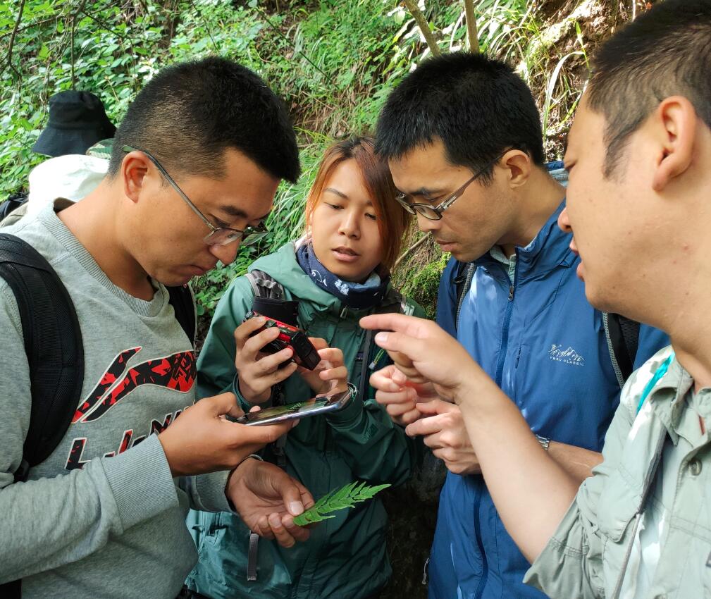 2019年植物分类与鉴定培训班学员名单