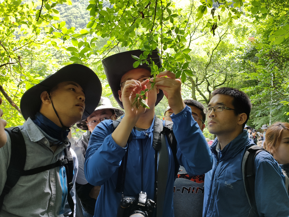 2019年植物分类与鉴定培训班