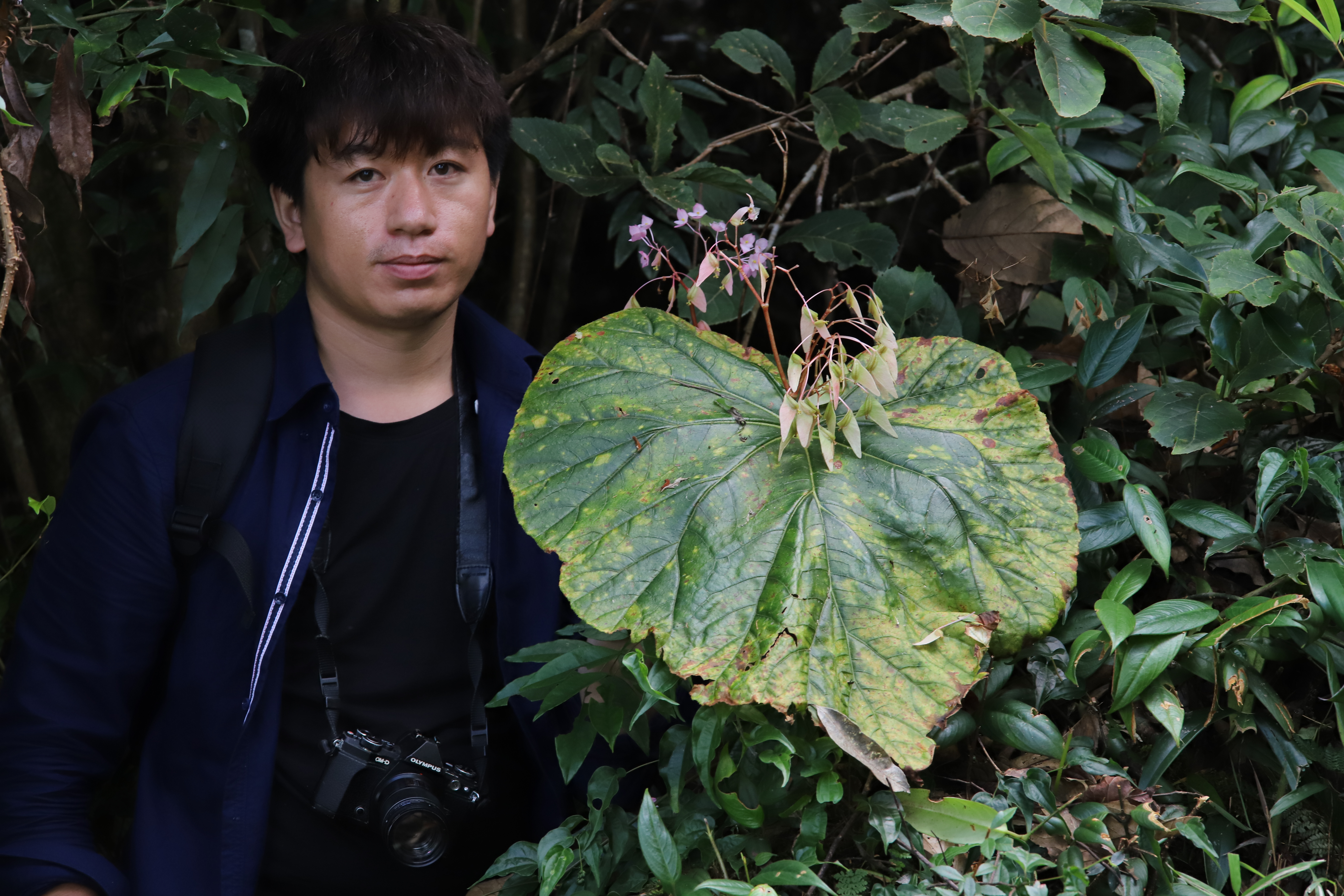 中国科学院西双版纳热带植物园藤本园植物调查报告